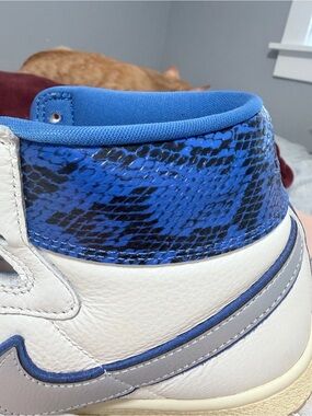 Awake NY x Jordan Air Ship